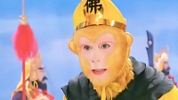 世人皆知你是泼猴，却不知你亦是我的心上猴