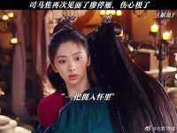 司马焦再次见到了廖停雁，伤心极了