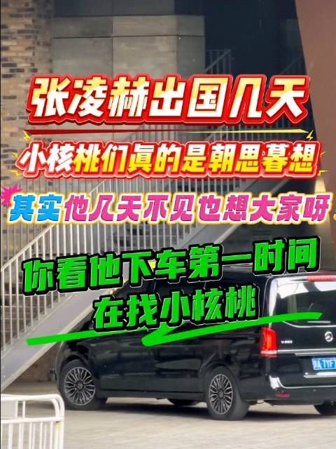 张凌赫回国第一时间寻找粉丝，ins两月涨粉200万