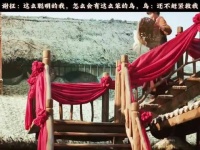 谢征张凌赫田曦薇新剧台词引热议
