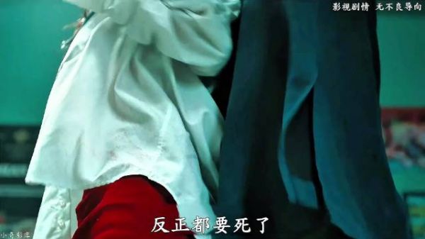 包贝尔又一部新剧来袭