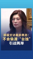 郑丽文访美前表态