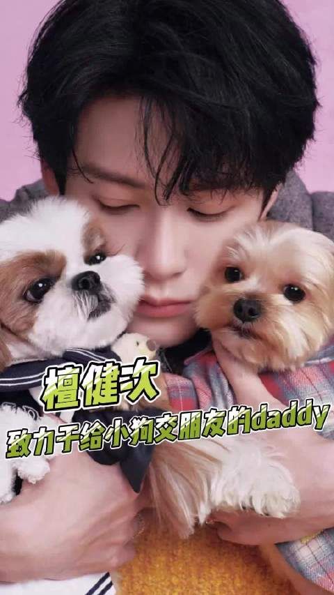 被迫社交的呆球和为儿子操碎心的父亲