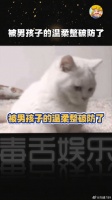 被男孩子的话温柔到了，愿每个女孩都能被温柔以待浦熠星