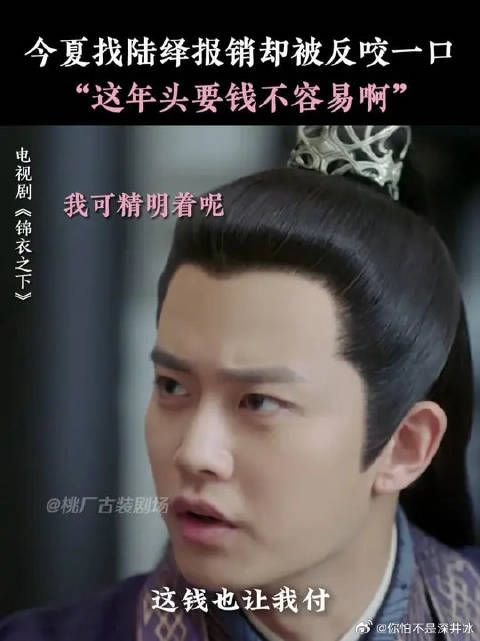 不得不说在报销银子方面，今夏你还是高估了陆绎