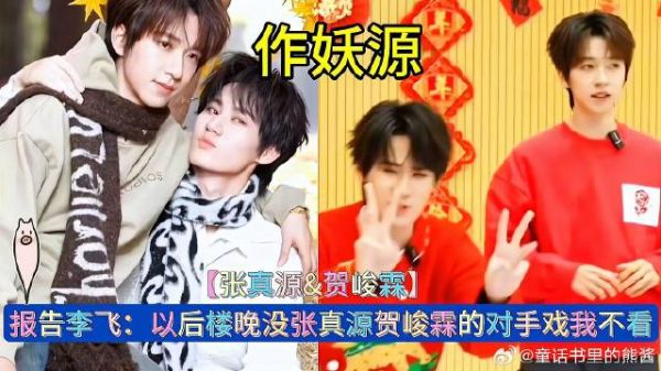 报告李飞：以后楼晚没张真源贺峻霖的对手戏我不看