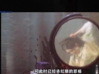 爱猫遭仇家煮食，慈禧怒杀仇人六王爷助其脱罪