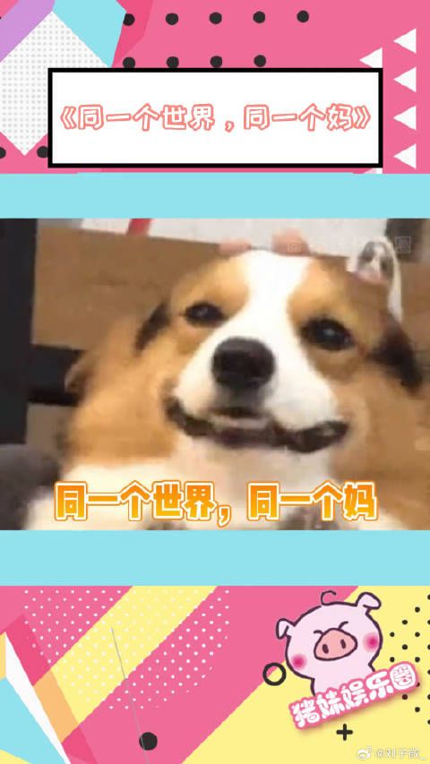 《同一个世界，同一个妈》爆笑名场面