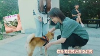 杨紫的日常也可爱了叭!