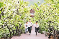 清明:气清景明养心性