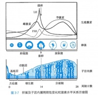 月经前出现褐色分泌物是怎么回事?医生解答