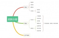 那些纹美瞳线的人,现在都怎么样了?