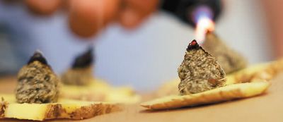 三伏天到来,山东省枣庄市一家中医门诊的医务人员在为市民做“隔姜灸”治疗。孙中喆摄(人民视觉)