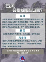 台风来袭,如何防范应对?