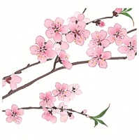 二十四节气二十四问