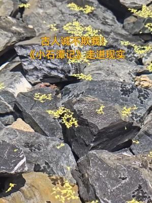 来源：人民视频截图