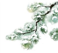 “瑞雪”缘何“兆丰年”（文化中国行·二十四节气二十四问）