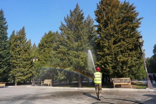 3月15日，在北京地坛公园，工作人员使用添加了花粉控制剂的水对柏树进行喷淋。新华社记者 鞠焕宗 摄