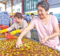 荔枝采摘后为何要泡水（有问有答）