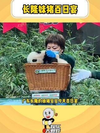真豪门前来的阵势,的百日宴配置简直顶级!也受邀出席