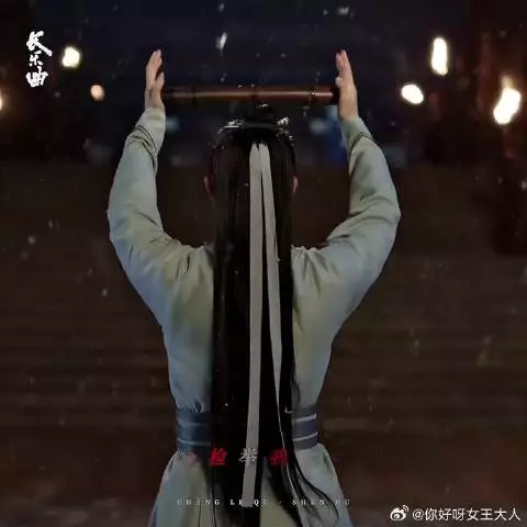 背负千古骂名，身后空无一人，独自跪在大雪中的那天，你在想什么呢？
