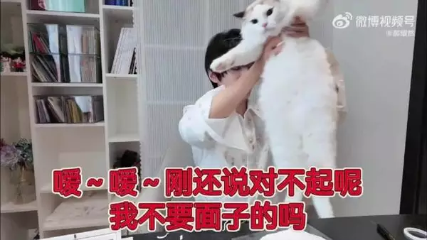 豆芽心里os： 嗳～嗳～刚还说对不起呢 我不要面子的吗 郝熠然