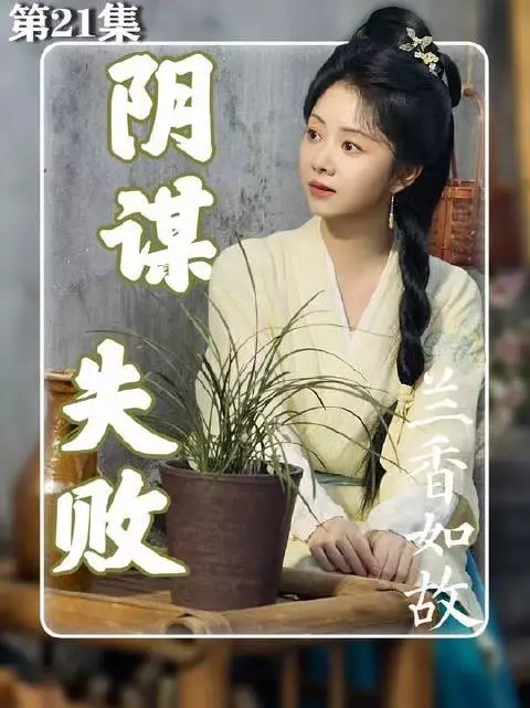 杜翠雀的野心在兰香面前彻底暴露无遗 刘学义 新剧推荐