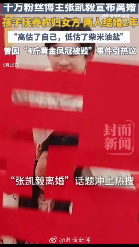 张凯毅称曾刻意美化婚姻