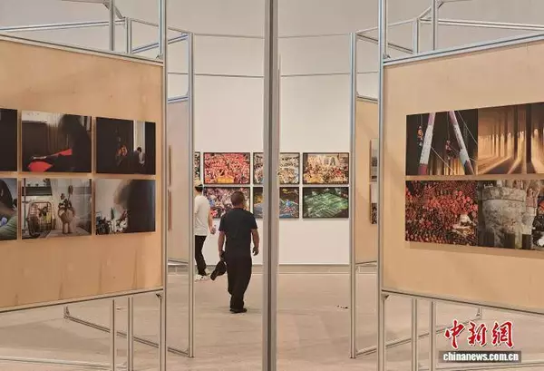 浙江摄影“双展”同行 绘就新时代浙江奋进长卷