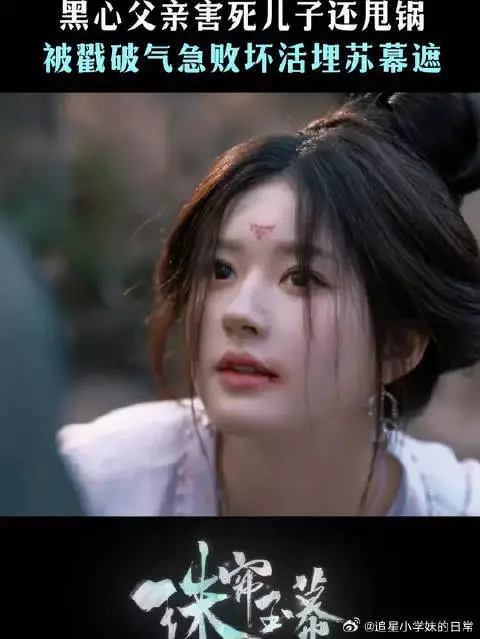 凭什么怪在苏幕遮头上！
