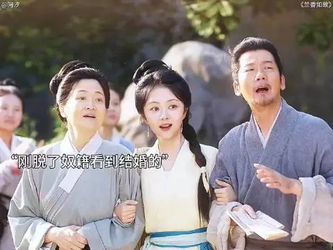 兰香一家脱离奴籍自由了，而赵星棠再次改嫁沦为棋子