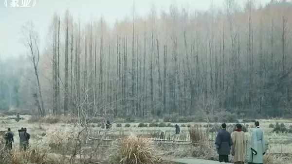 杨紫弃《兰香如故》选《家业》，看重角色能立住