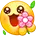 送花花