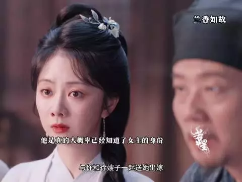 陆先生就这样为女主撑腰