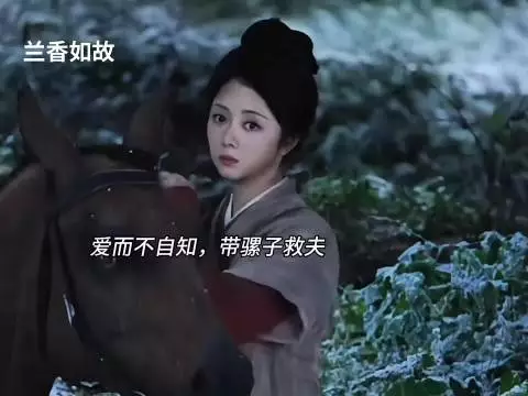 爱而不自知，带骡子救夫