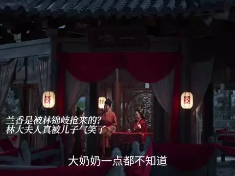 林大夫人真被儿子气笑了