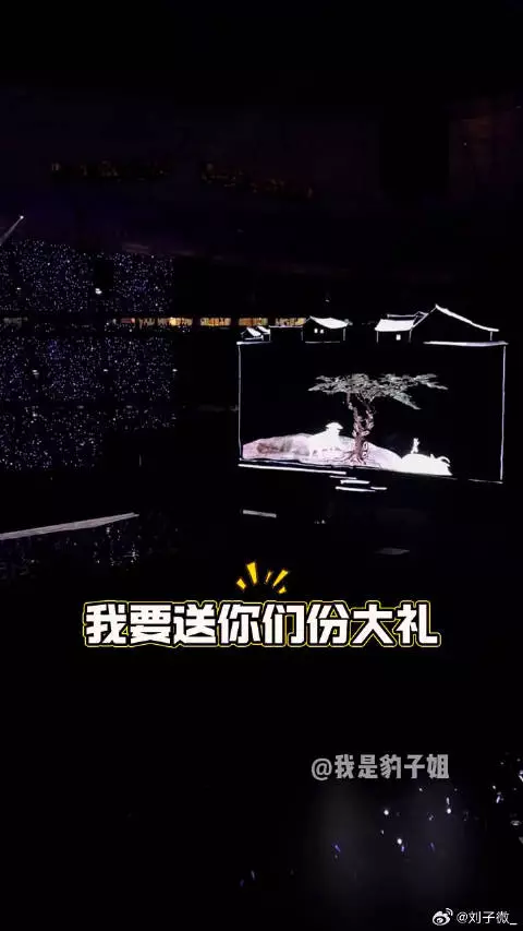 张艺兴鸟巢演唱会庆生，粉丝贝壳陪伴