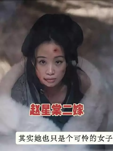 赵星棠二度嫁戴寺卿，育有四子长子年岁竟相仿
