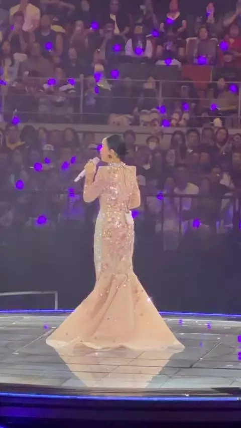 那英在成都完全是特种兵