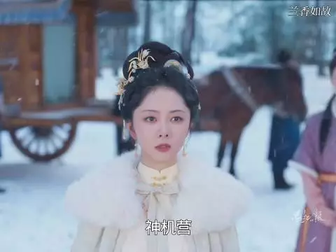 兰香看见浓烟知道神机营谋反 孤身一人找到林锦岐 ，兰香如故