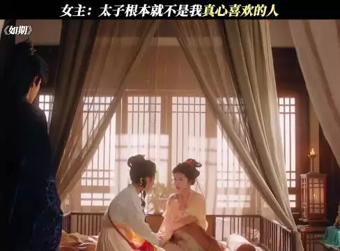 女主:太子根本就不是我真心喜欢的人 如期