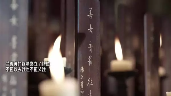 《兰香如故》最让人服气的是,连骡子都有记忆点…