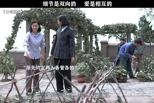 好羡慕两个人这样的爱情，相互扶持，玫瑰和面包都有了 父母爱情