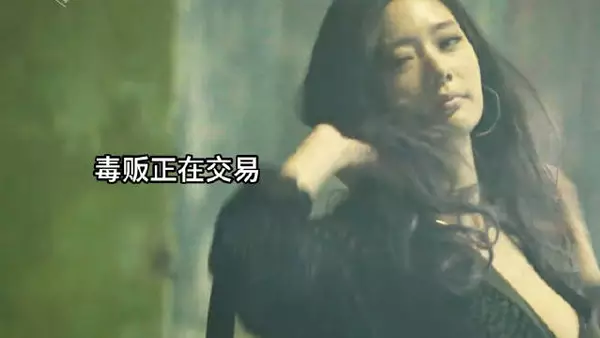 一部非常精彩的国产犯罪电影