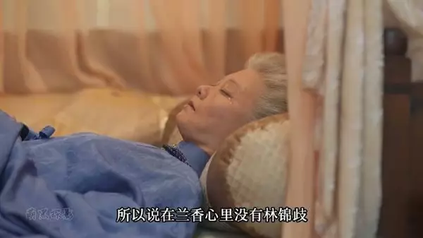 你们说兰香到最后到底有没有爱上林锦歧