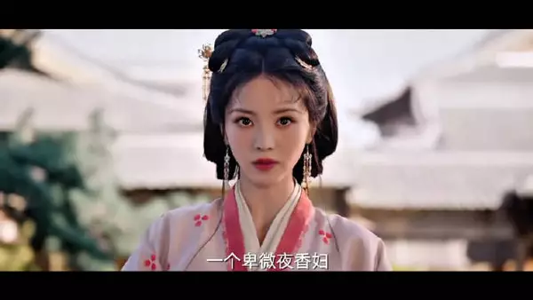 一个皮囊，两种人生，嫁金钗已经杀疯了