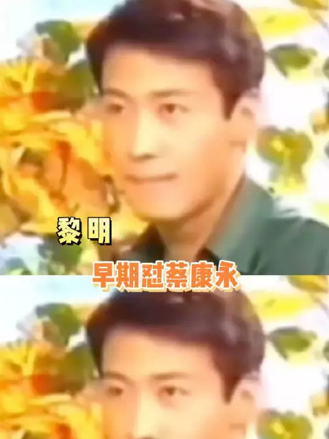 黎明早期也怼过蔡康永！鸭子！暗示对方是同X恋，好高招