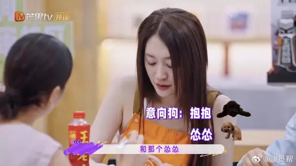 使出浑身解数帮毛孩子找归宿，孙怡和周翊然这份温柔太戳人了