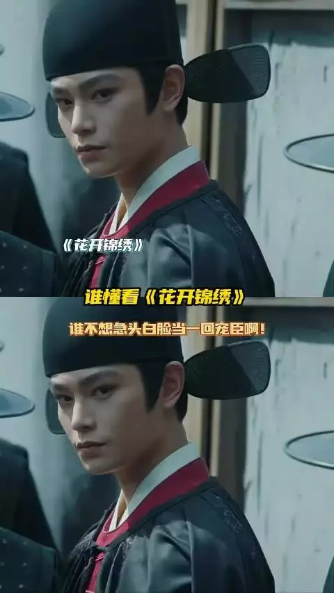 谁不想急头白脸当一回宠臣啊！赵凌不愧是皇上的嫡长心腹！