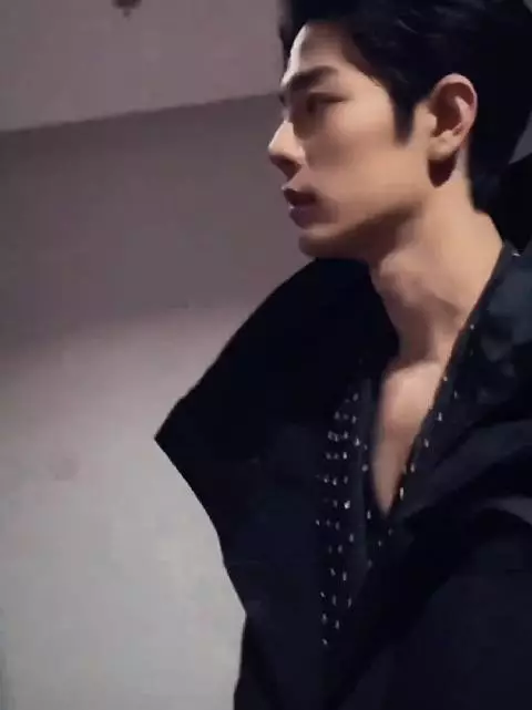 俊美但不容侵犯的感觉